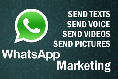 WhatsApp Marketing Africa